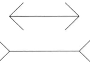 繆勒萊爾錯覺：看到的不一定對，感覺到的可能是錯誤，視覺與心理讓人產(chǎn)生錯覺！
